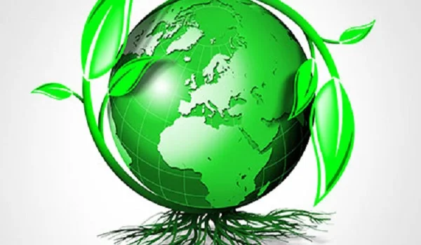 Eco-friendly initiatives