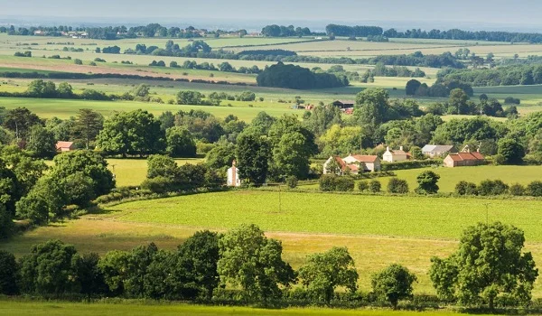 Splendid Green Spaces