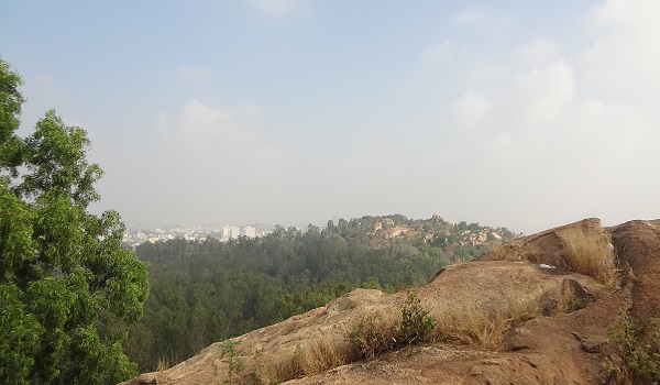 Turahalli view point