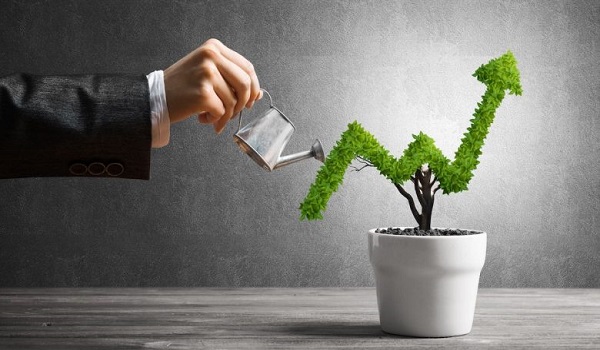 Birla Ojasvi Investment